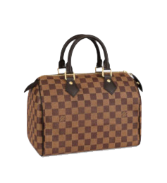 Louis Vuitton 2