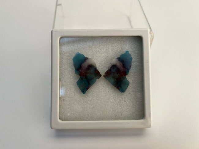 Paraiba Article