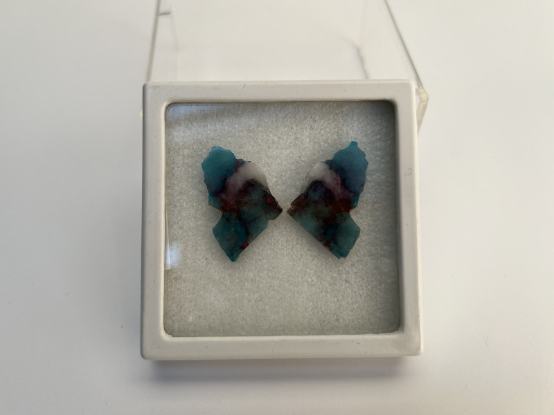 Paraiba Article